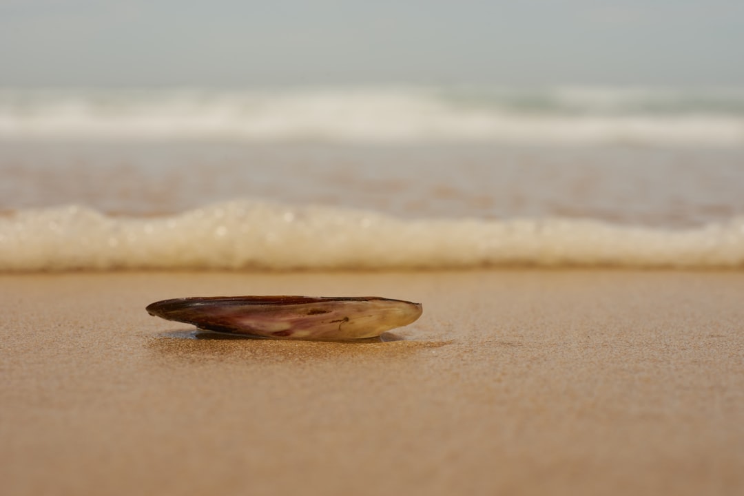 1) Liquidity and Debt: The Foundation of a Resilient Portfolio