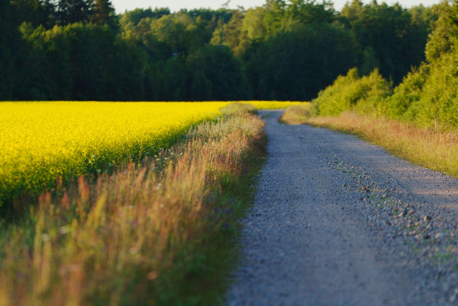 Aggressive path: 6%–8% yield