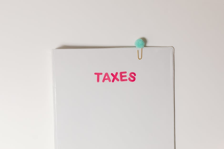 How to File Taxes as a Student: A Focused Checklist