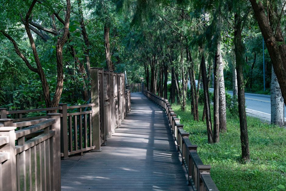 Risks, Guardrails, and the Path Forward