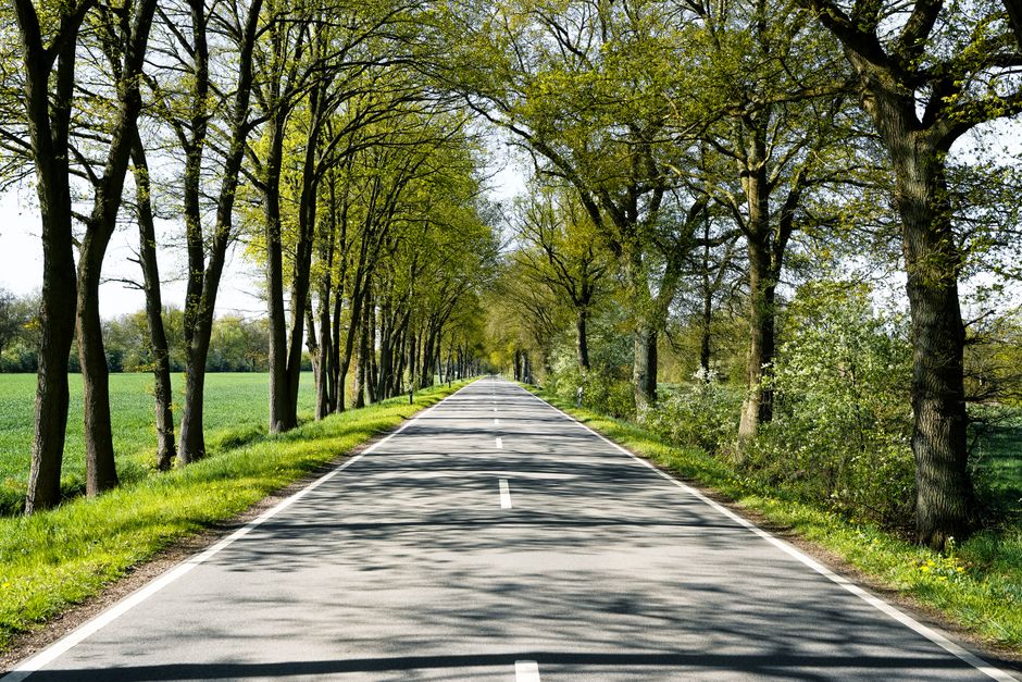 Three Scenarios for the Road Ahead