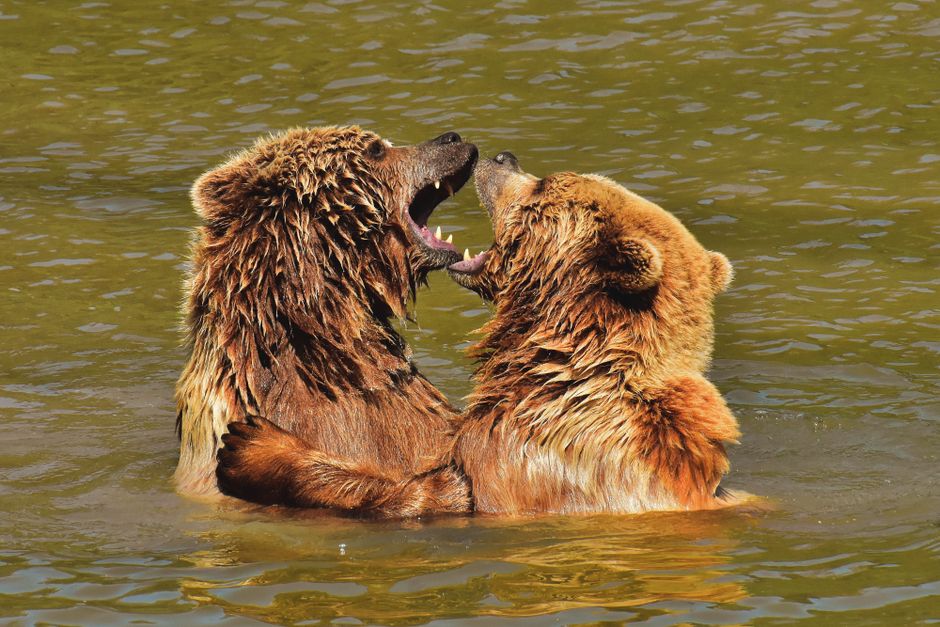 Bear Market Resilience: Why This Milestone Might Hold Up