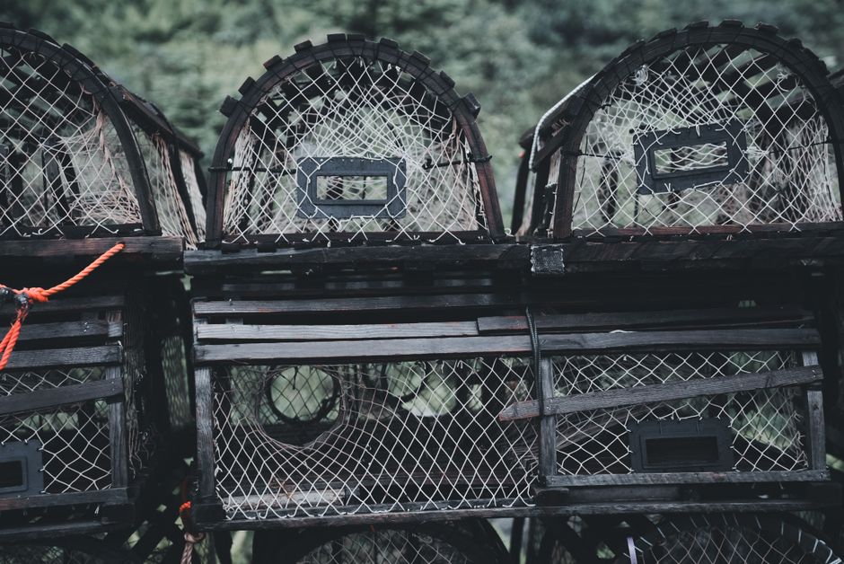 Spotting the Trap: What To Look For