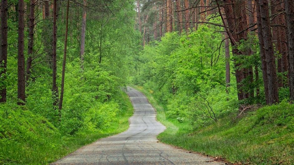 Economic Backdrop: Why This Path Feels Timely