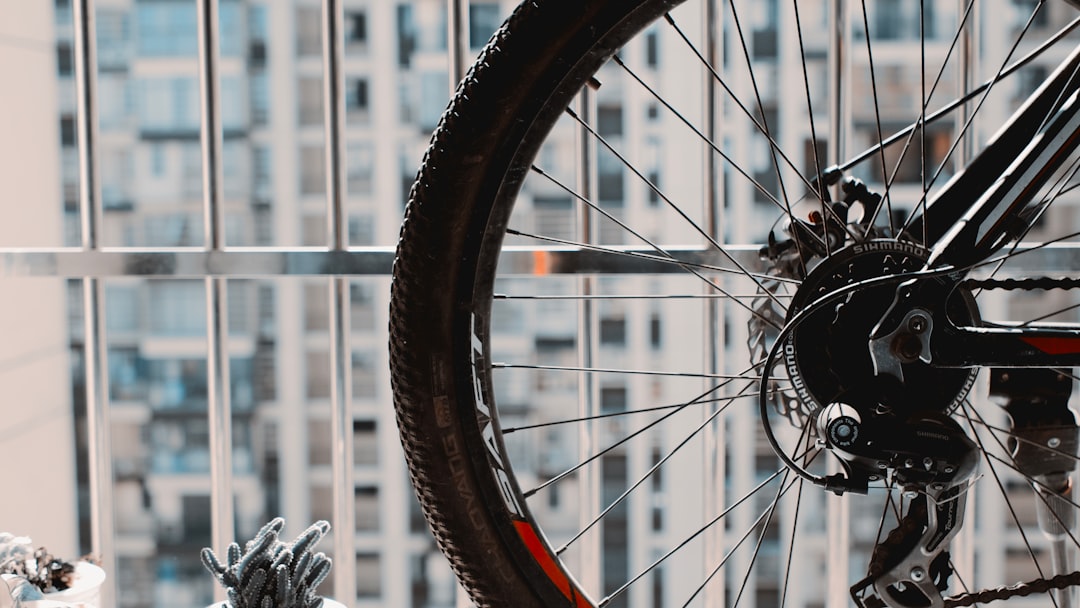 Expert Views: How to Break the Cycle