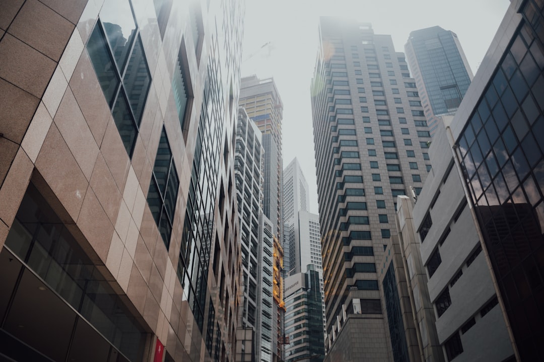 Long-Term Outlook: Defendable AI Growth or Threat to Margins?