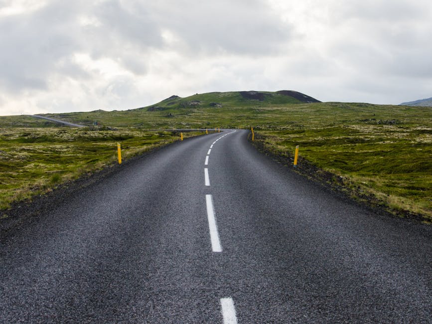Watching the Road Ahead: What to Expect