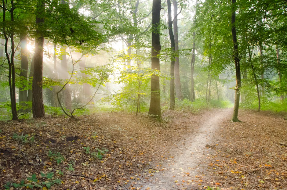 Two Paths, One Outcome—Depends on Your Plan