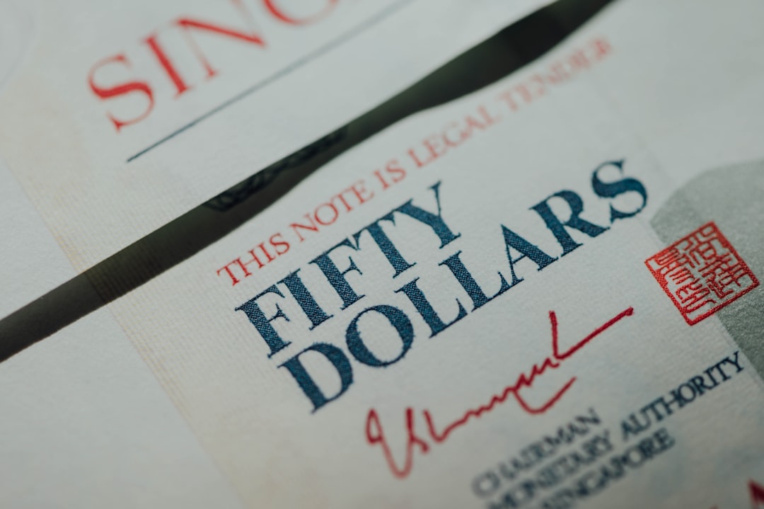 Debt, Expertise and the Fiscal Gap