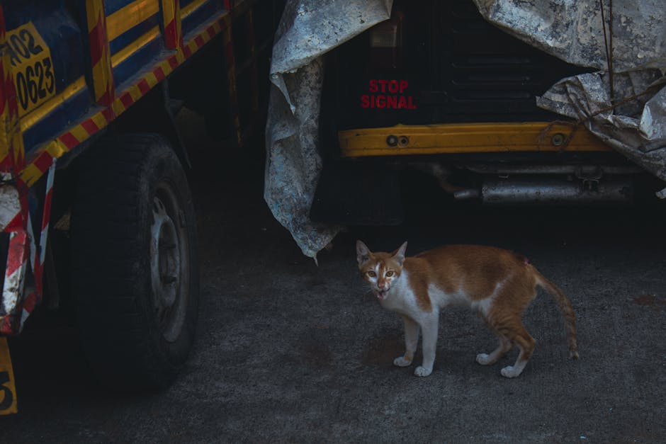 What to Watch Next: Signals and Signals That Signal