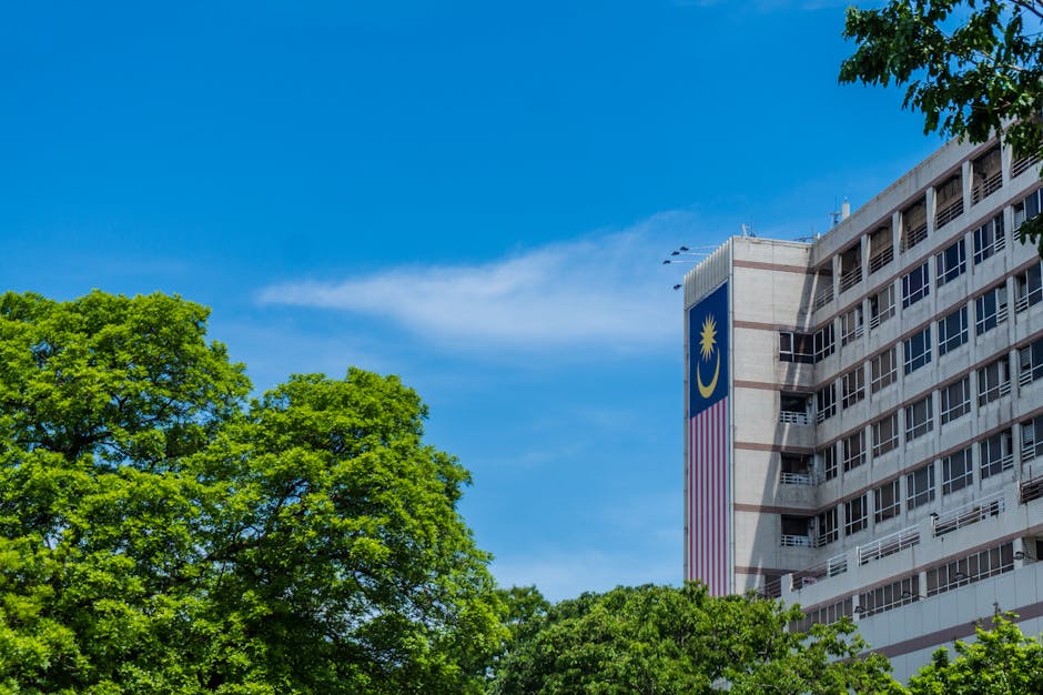 Why institutional buyers pounce when prices fall