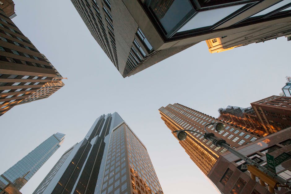 What Fans and Sponsors Can Do: Building a Sustainable Model