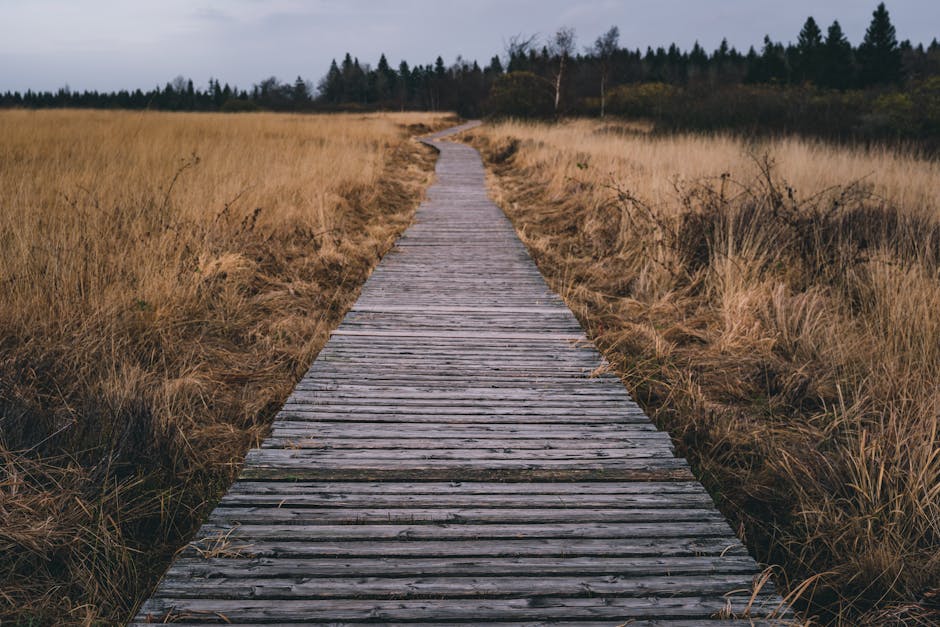 Policy and Path Forward