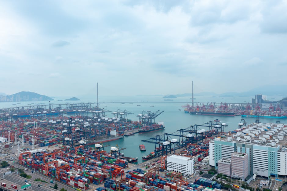 Market and Shipping Implications