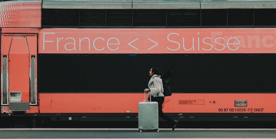 Implications for Travelers and Businesses