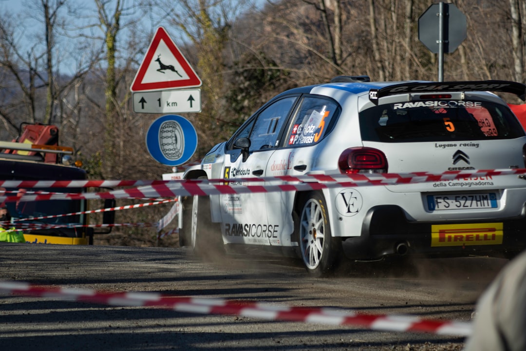 Why the Rally Could Be More Than a Quick Pop: Analyzing the Catalysts