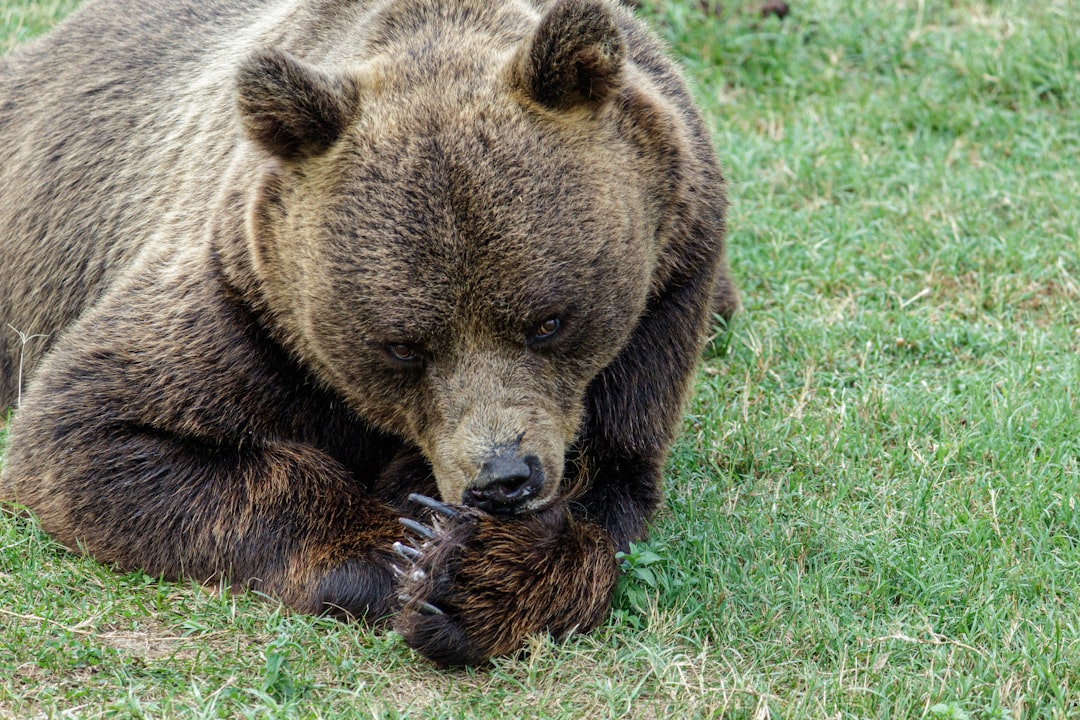 The bear case: what could weigh on FMC stock