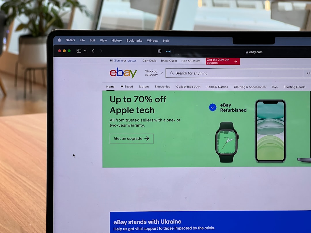 The Case for eBay: A Grounded Business in a Buzz-Prone World