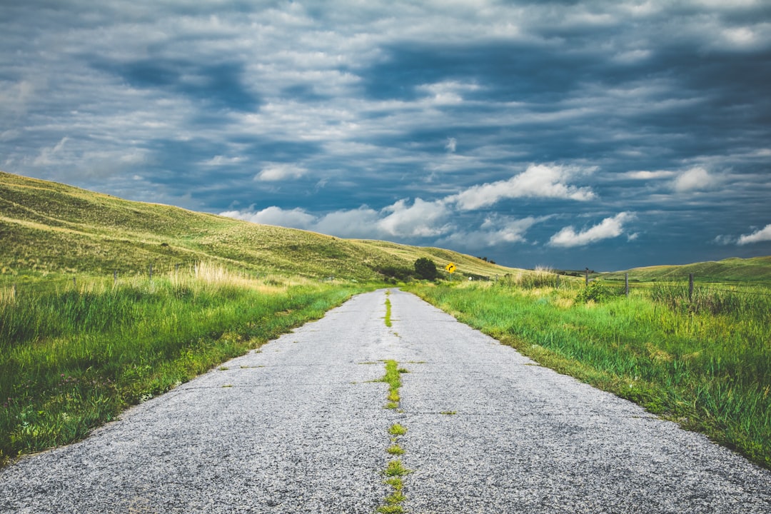 Cash Runway, Capital Needs, and the Path to Profitable Growth