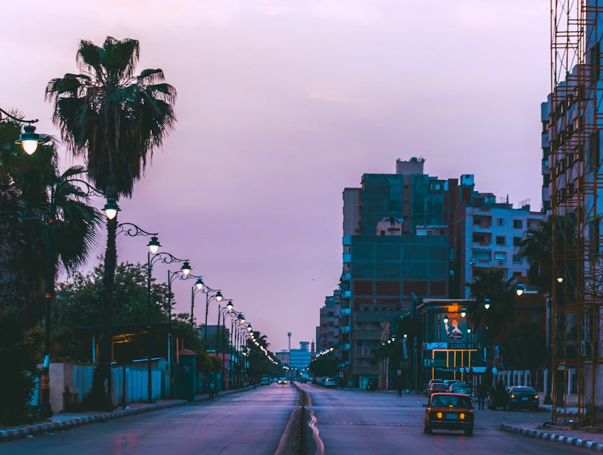 Takeaways: Solana Right Now? What Investors Should Do Next