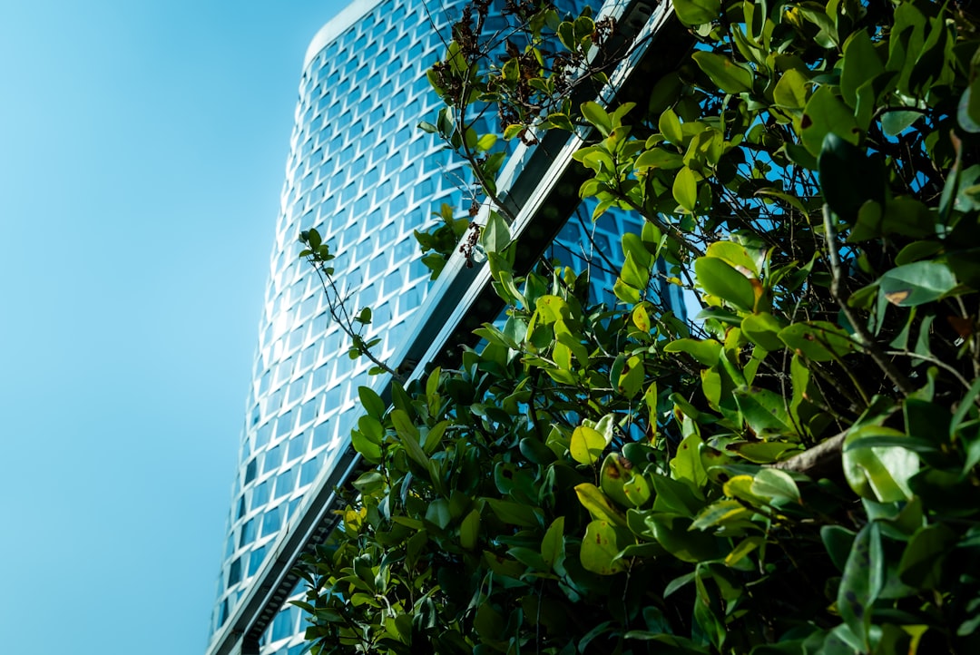 How to Assess the Sustainability of This Ultimate High‑Yield Stock