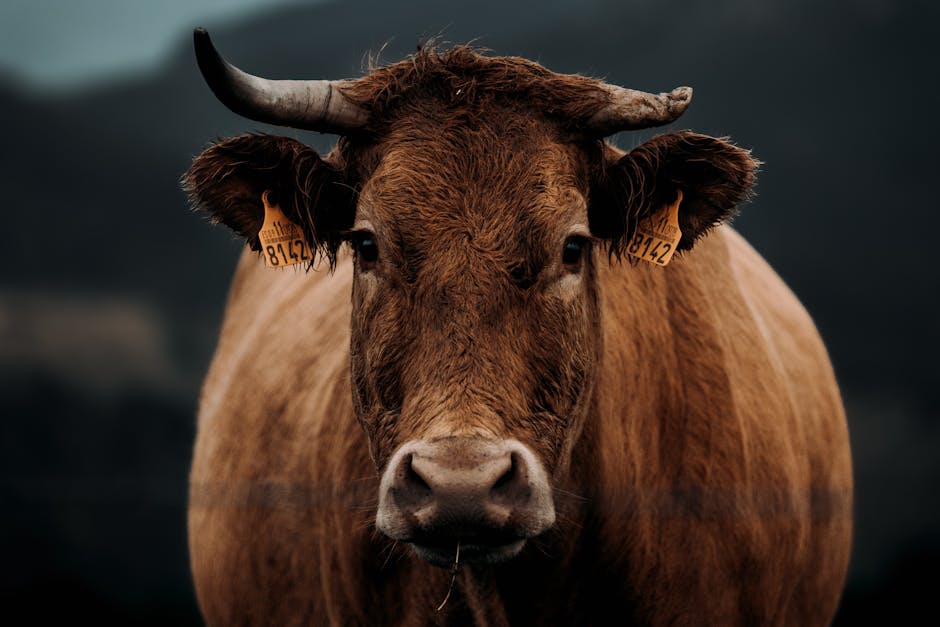 The Bull Case for UPS: Why “Bad News” Could Be Priced In Too Far?
