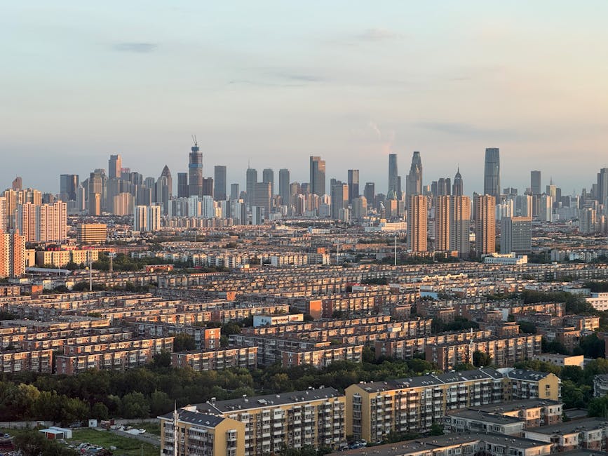 Implications for Cities, Companies, and Households