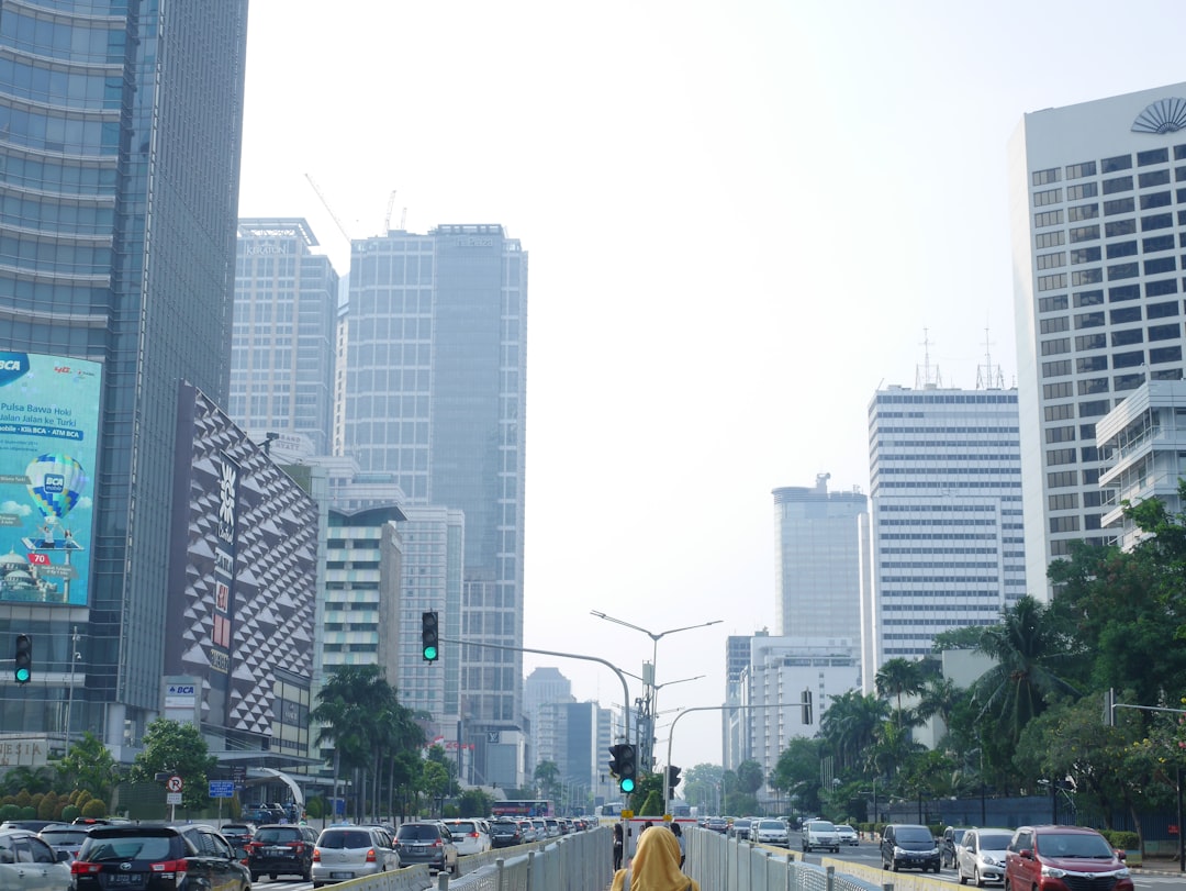 Policy Paths And Market Implications