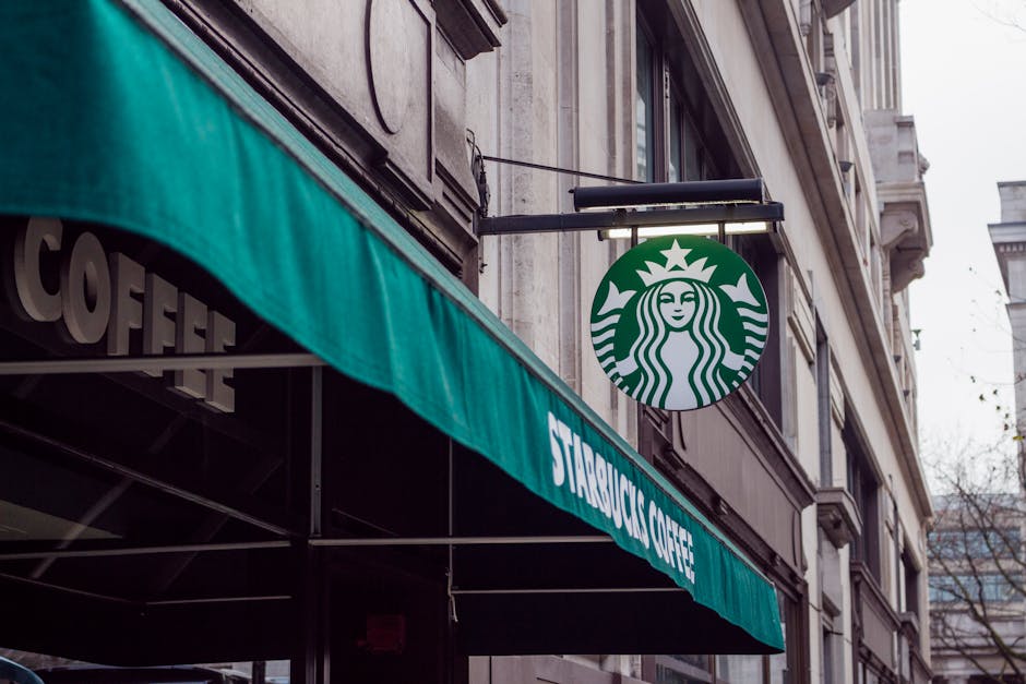 Franchise vs Company-Owned Store Dynamics