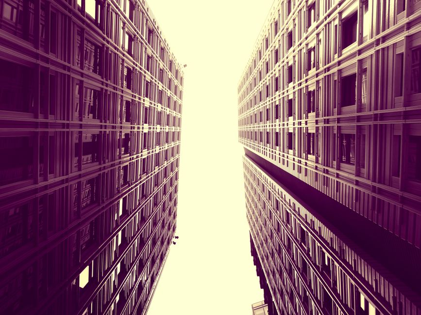 Expert Perspectives: Industry Views