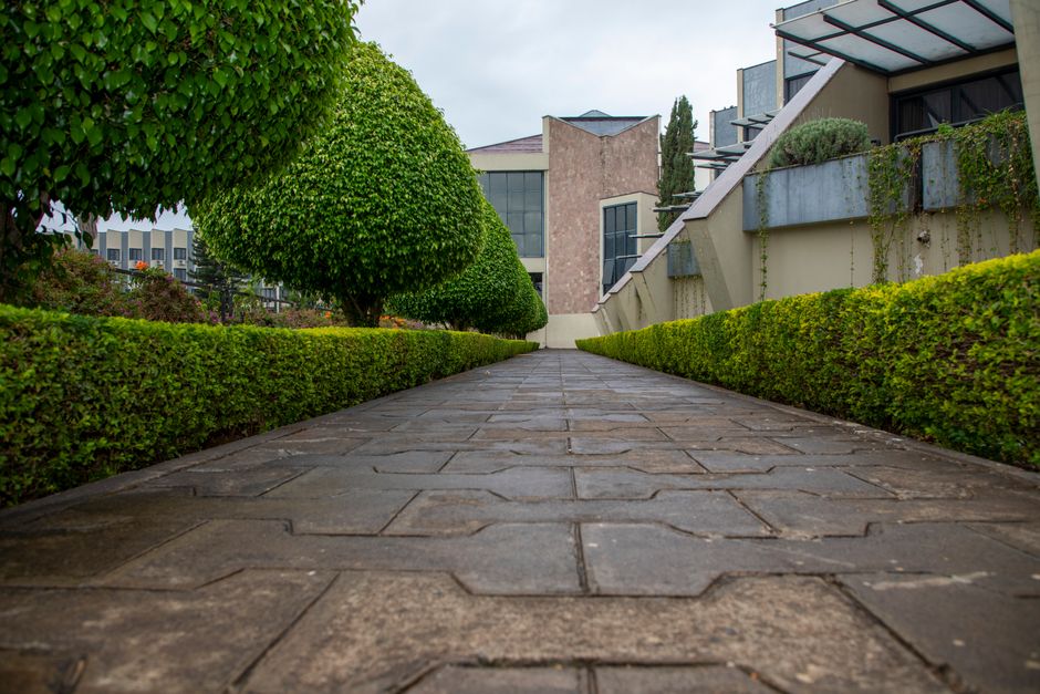 The hedged option in focus