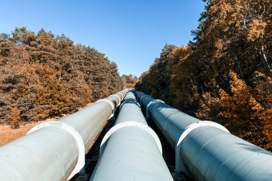 Pipeline, pricing power, and competitive positioning
