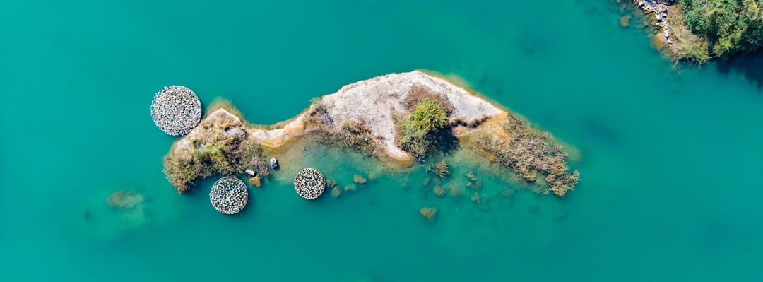 Lake’s Exit and a Shifting Succession Calendar