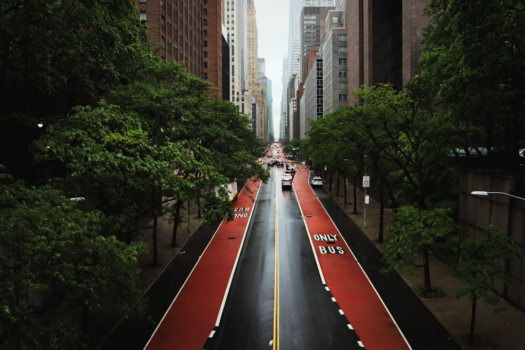 Practical Scenarios: Real-Life Paths Forward