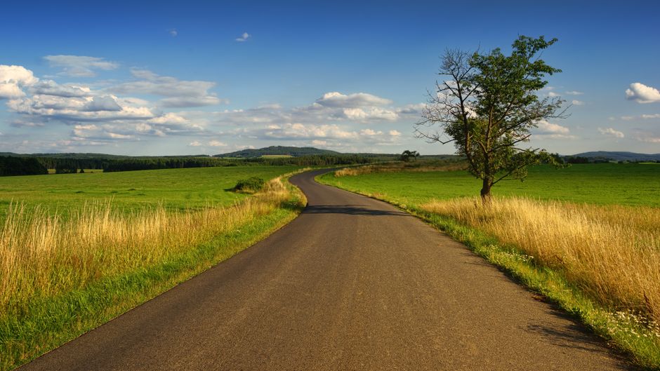 Putting It All Together: A Simple Roadmap for Your Financial Health