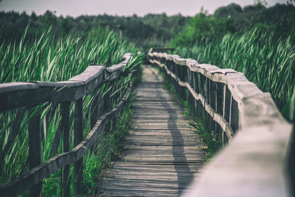 The Path Forward: What This Means for the Market