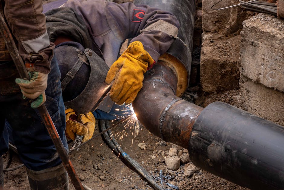 Backlog, Revenue Cadence and Project Pipeline