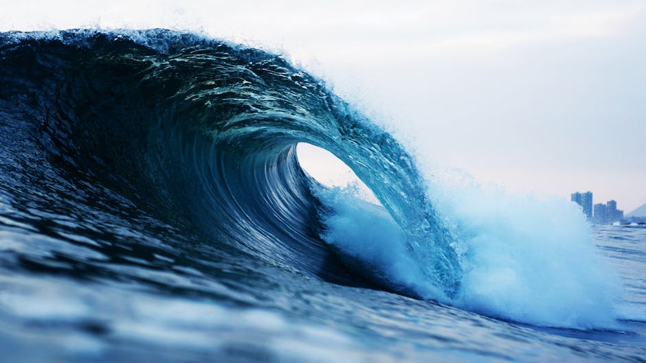 The CCIP Migration Wave: Solv Protocol as a Bellwether