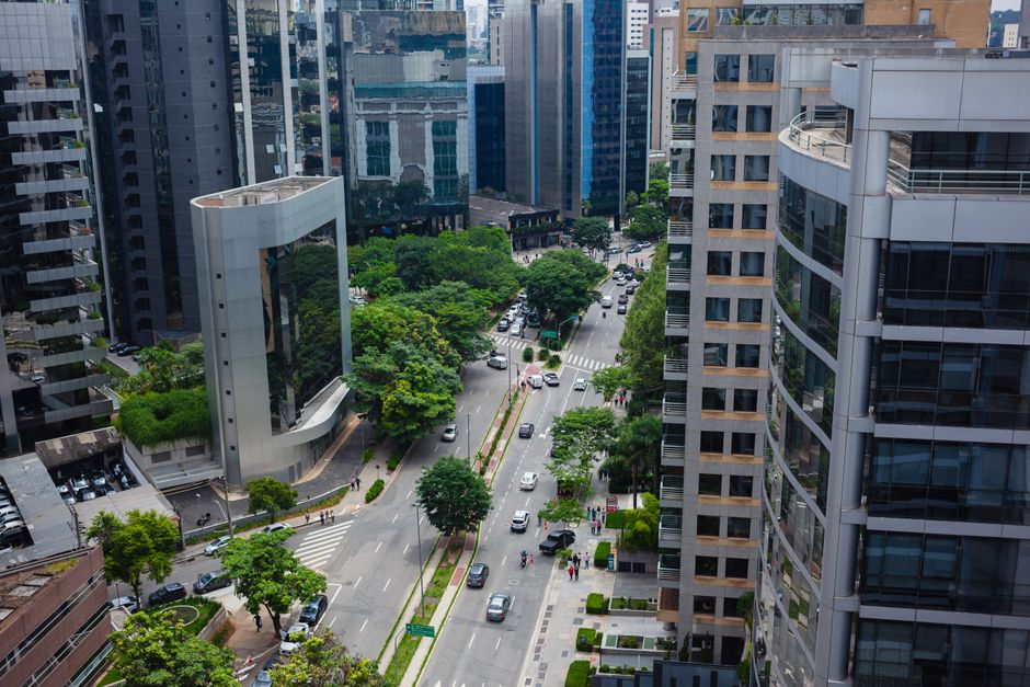 Chapter 7: The Road Ahead — Next Steps for a Growing Portfolio