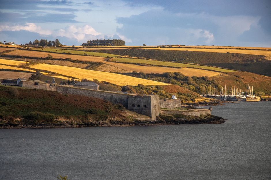 Why Kinsale May Be a Strong Contender in Specialty Insurance