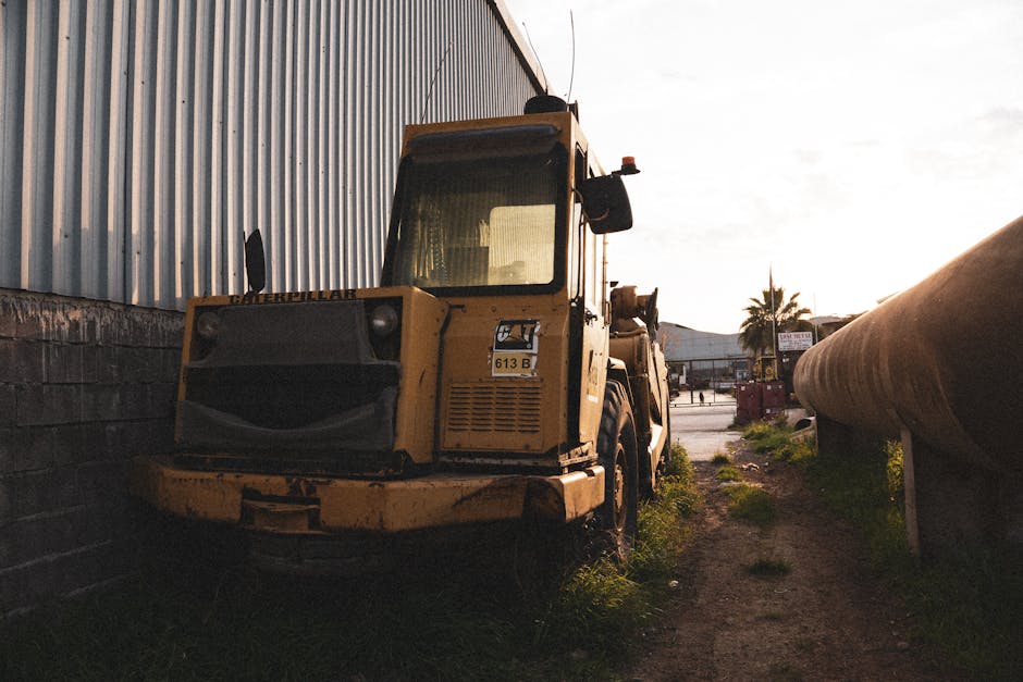 Realistic Milestones to Watch