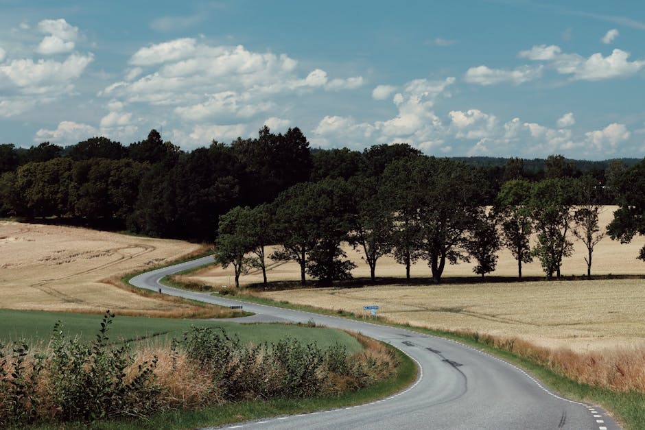 Risks, Reactions, and the Road Ahead
