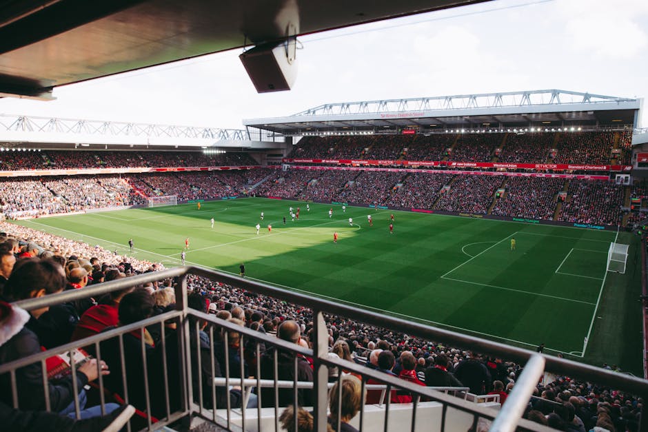 Practical Tips for Fans: Getting Involved the Right Way