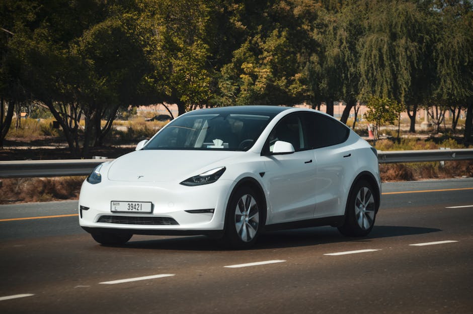 How to Decide If Tesla Fits Your Portfolio