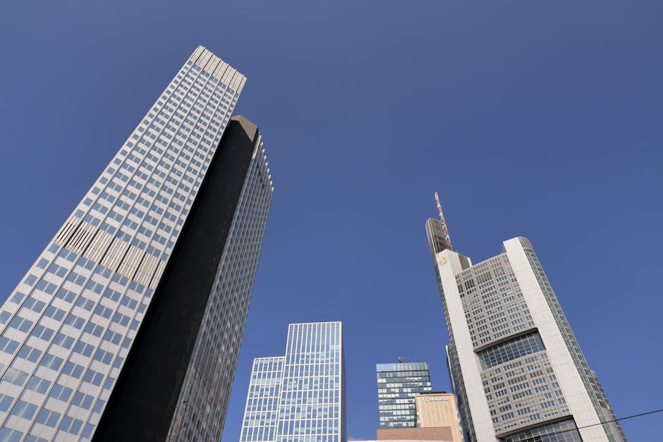 Regulatory Path and Commercial Outlook