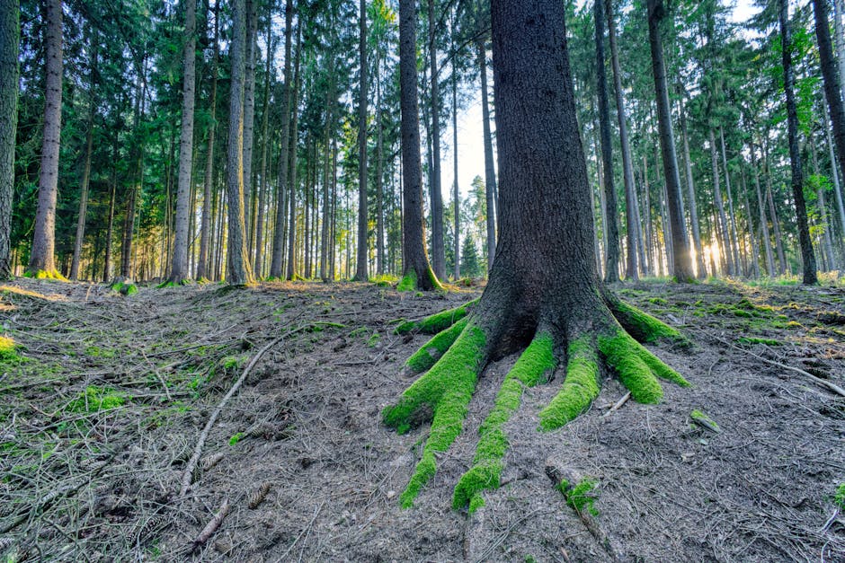 Staying Grounded in a Volatile World: What to Do Now
