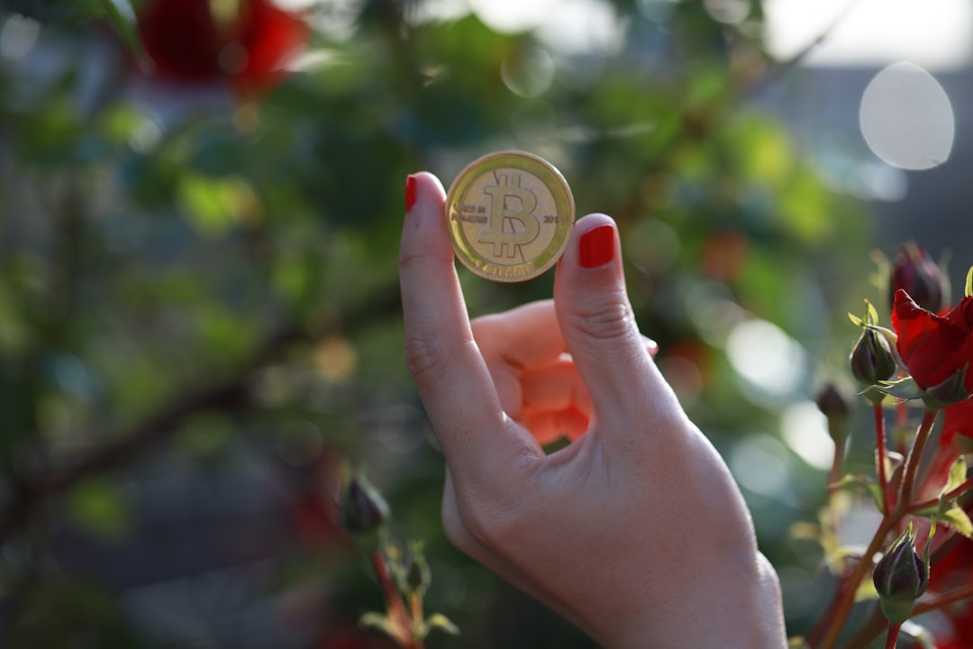 How Much Litecoin Belongs In A Practical Portfolio?