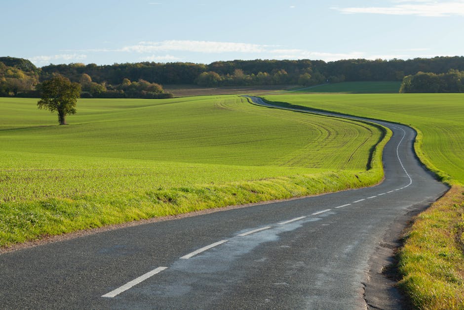 Market Context and the Road Ahead
