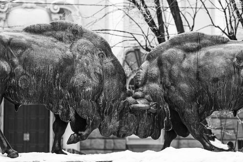 Bull vs. Bear: What the Street Is Saying