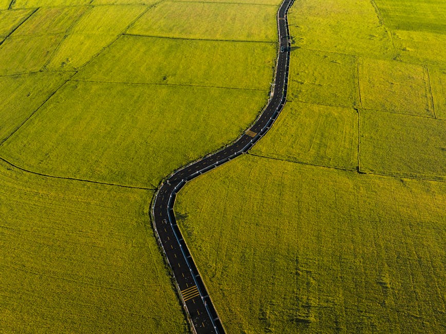 Costs, Confidence, and the Path Forward